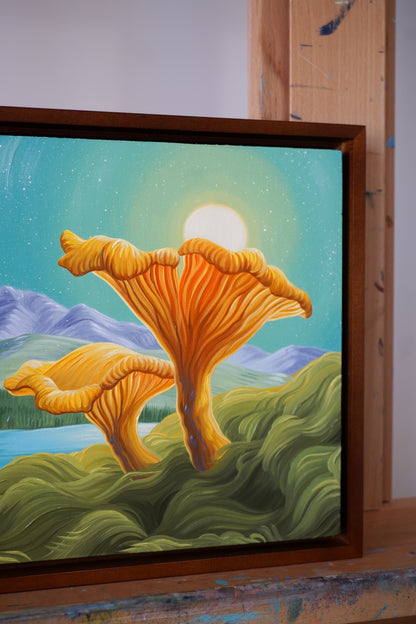 Sunny Chanterelles