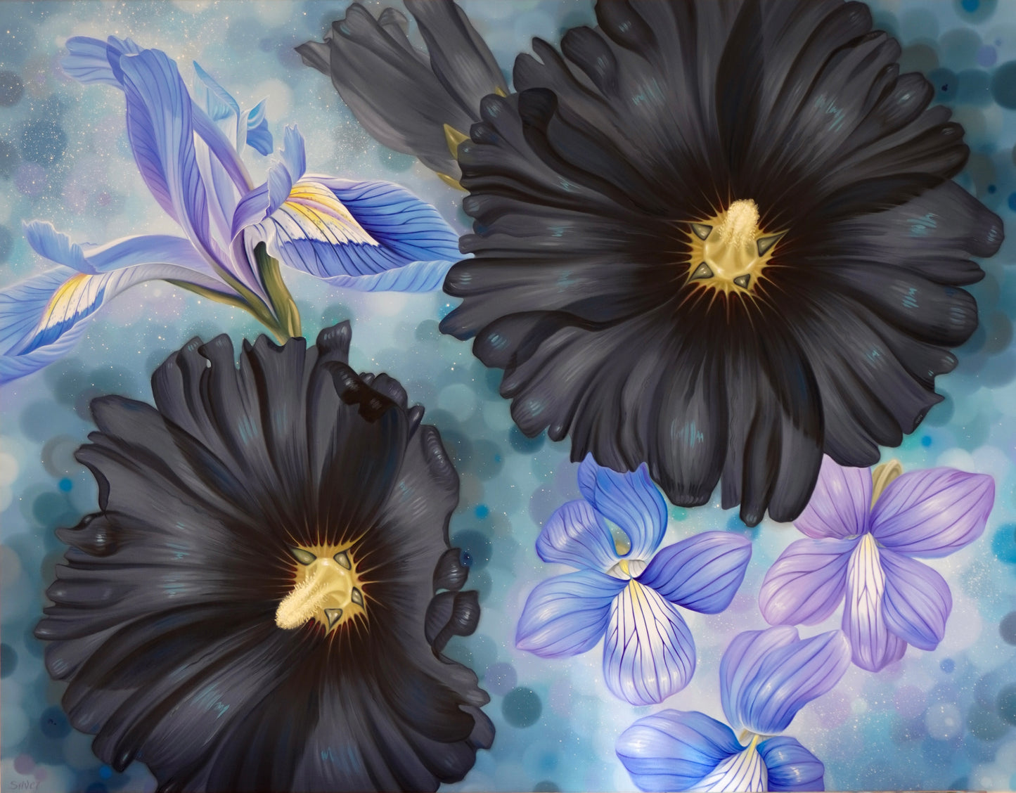 Mountain Blooms