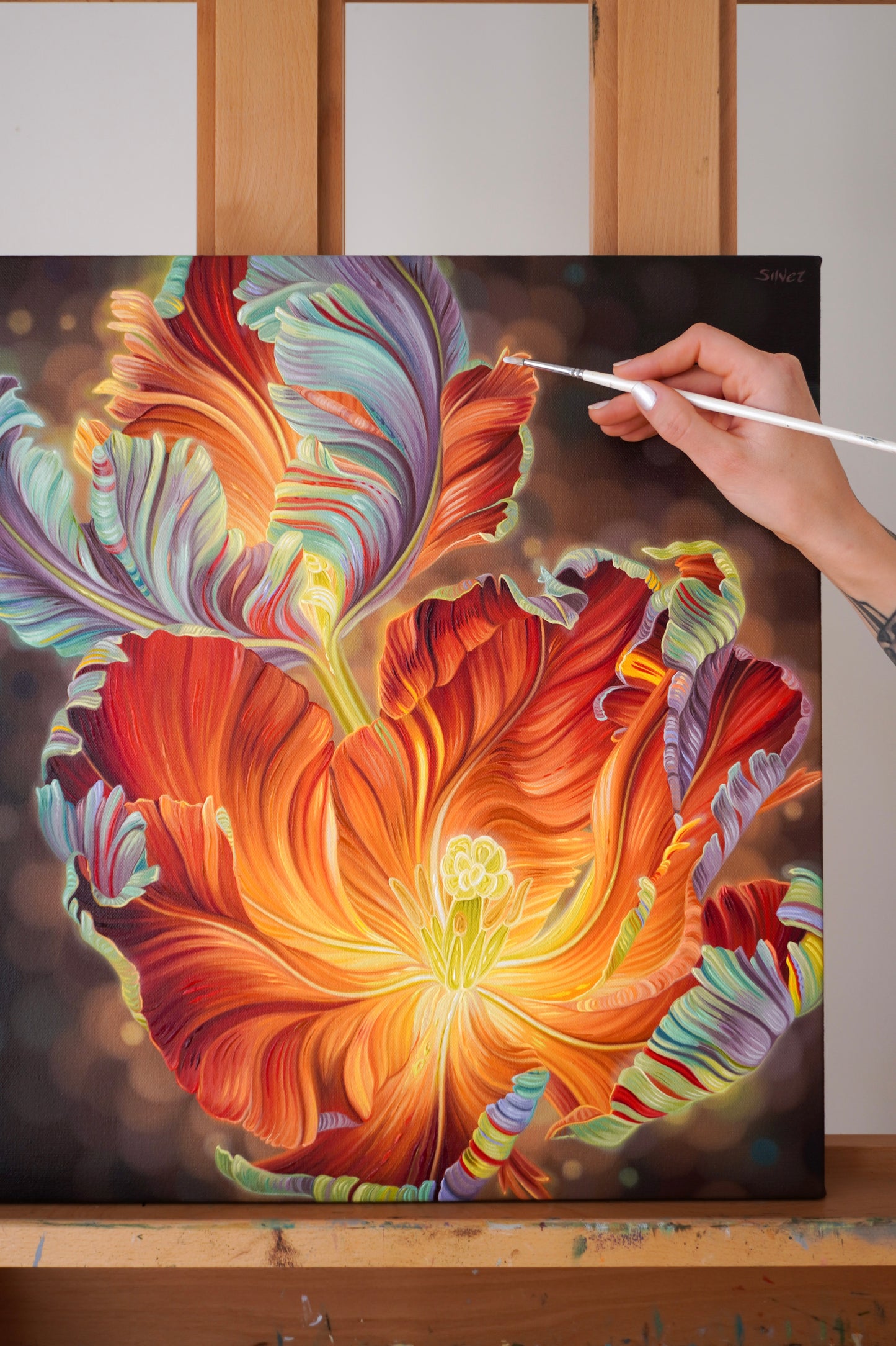 Rainbow Tulips