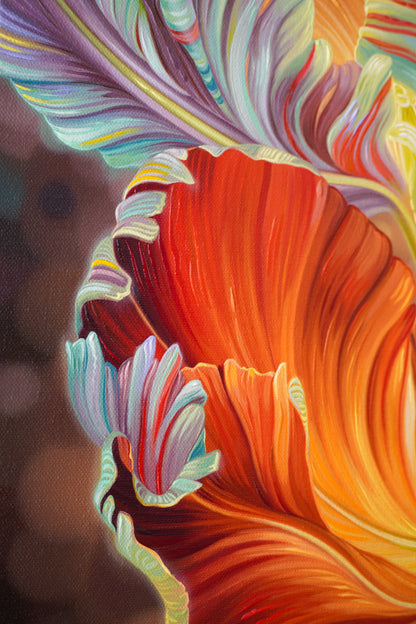 Rainbow Tulips