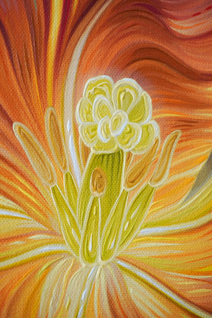 Rainbow Tulips