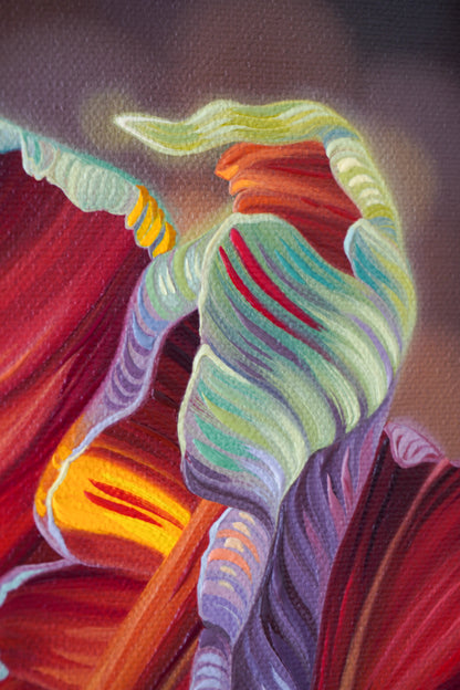 Rainbow Tulips