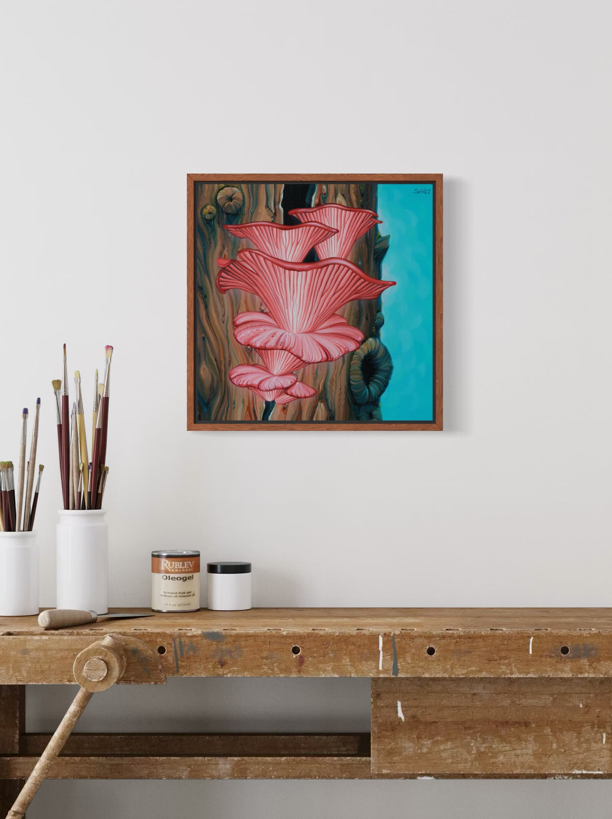 Rosy Oyster