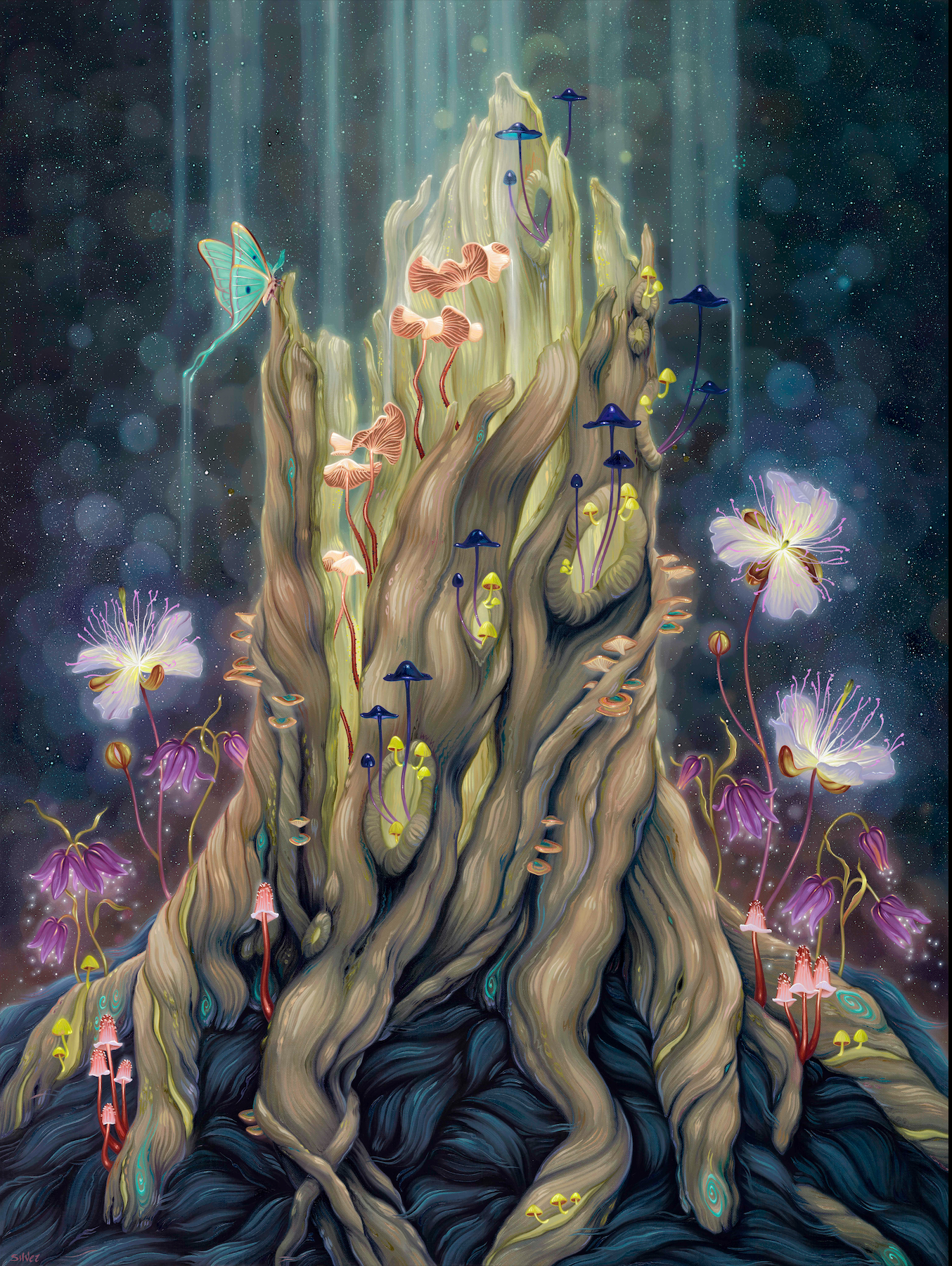 Renewal