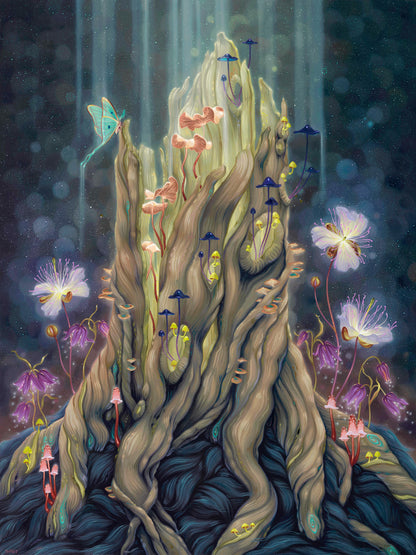 Renewal