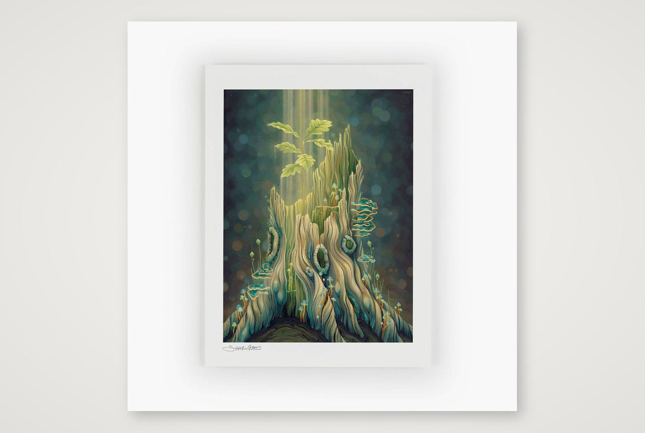 unnamed 6 — 12×12" Print only