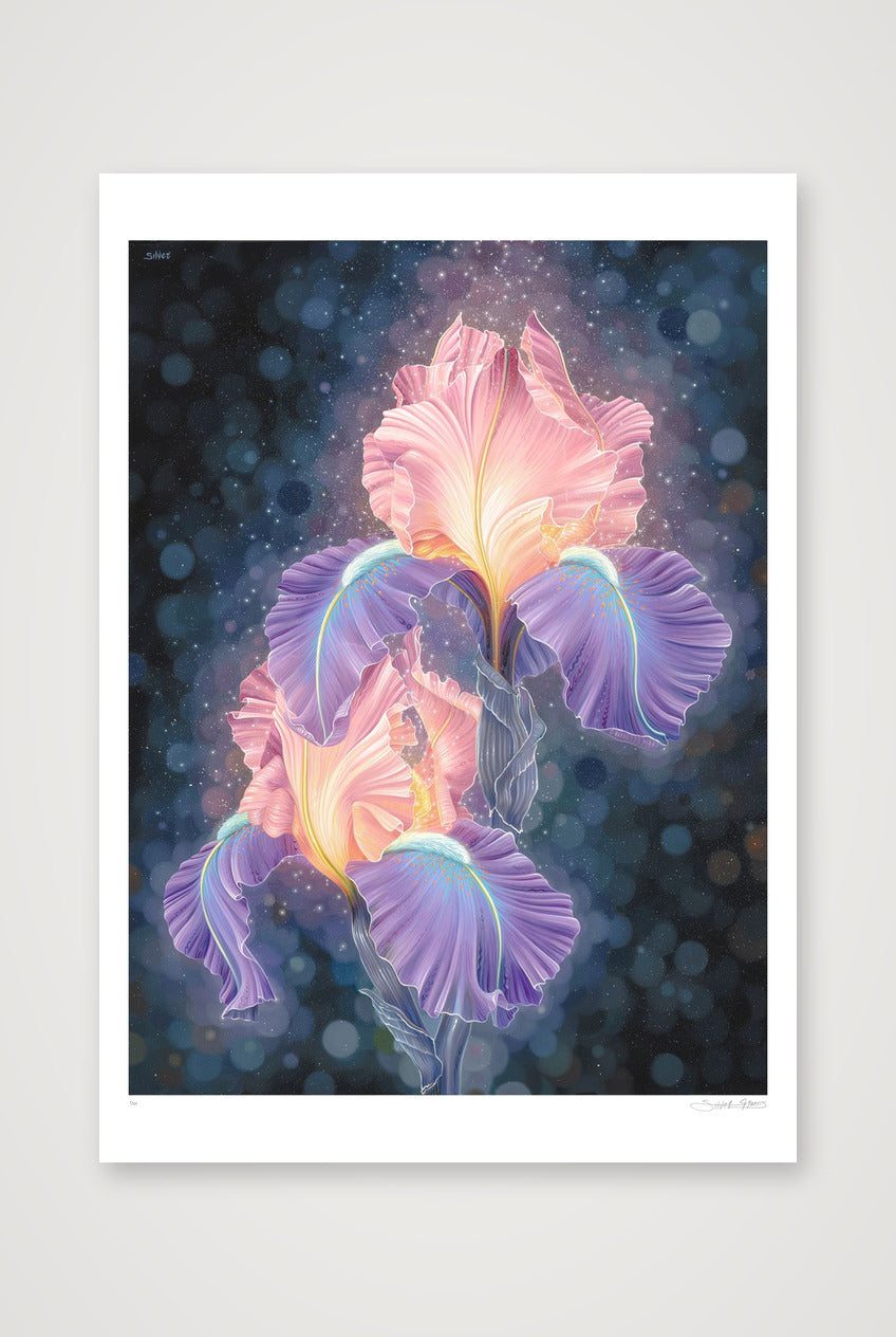 Dawn — A1 (23×33") Print only